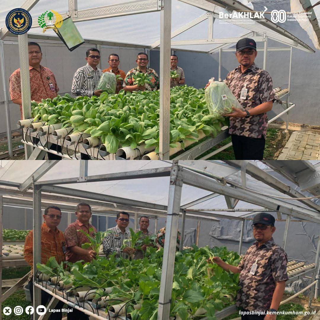 Kalapas Binjai Bersama PK Ahli Utama Didampingi Pejabat Struktural Memperlihatkan Tanaman Hidroponik Hasil Tanaman Wbp.(Doc/Foto : Lapas Kelas IIA Binjai)